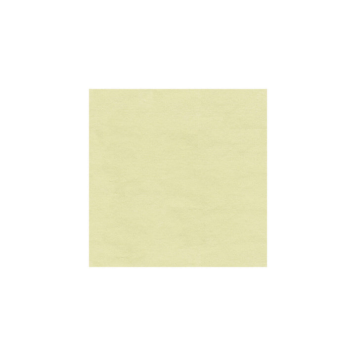 Versailles-E210510 by Kravet Design Designer Fabric - COTTON - 100% Netherlands HEAVY Horizontal: 0 and Vertical: 0 54 - Swanky Fabrics -