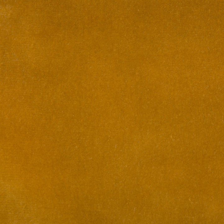 Versailles-E219010 by Kravet Design Designer Fabric COTTON - 100% Netherlands HEAVY Horizontal: 0 and Vertical: 0 54 - Swanky Fabrics -
