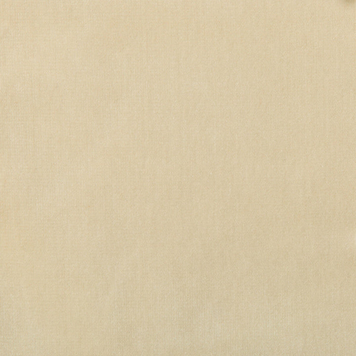 Versailles-E244250 by Kravet Design Designer Fabric COTTON - 100% Netherlands HEAVY Horizontal: 0 and Vertical: 0 54 - Swanky Fabrics -