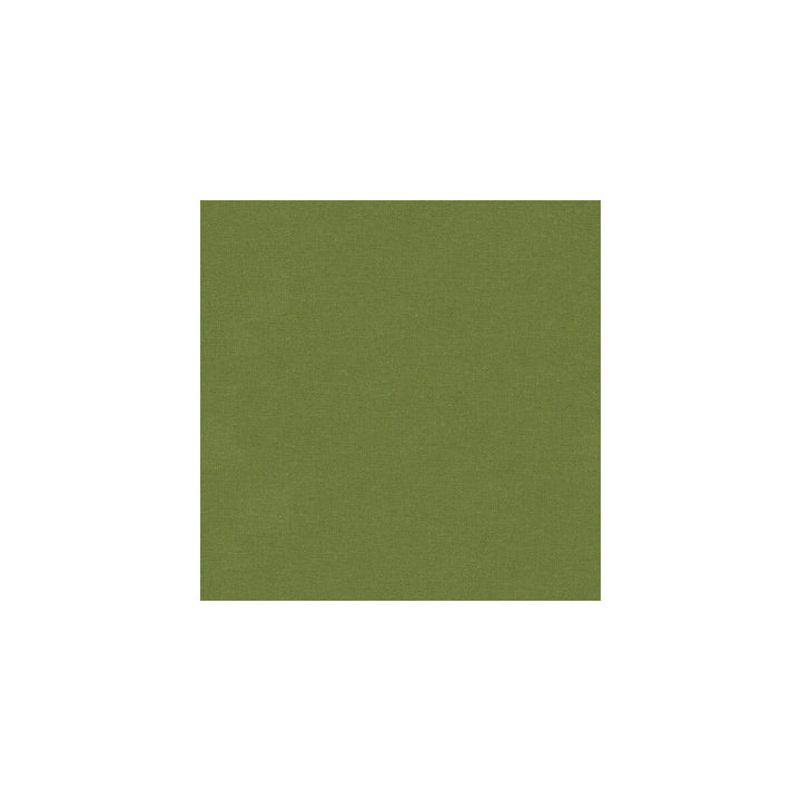 Versailles-E260030 by Kravet Design Designer Fabric COTTON - 100% Netherlands HEAVY Horizontal: 0 and Vertical: 0 54 - Swanky Fabrics -