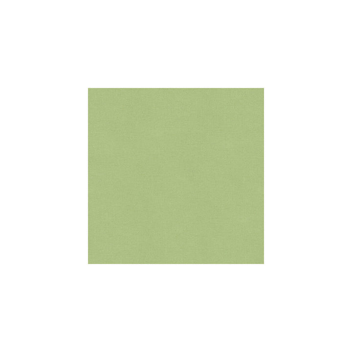 Versailles-E260790 by Kravet Design Designer Fabric COTTON - 100% Netherlands HEAVY Horizontal: 0 and Vertical: 0 54 - Swanky Fabrics -