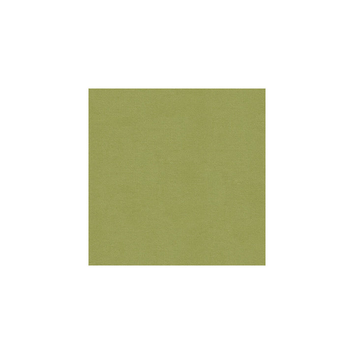 Versailles-E261200 by Kravet Design Designer Fabric - COTTON - 100% Netherlands HEAVY Horizontal: 0 and Vertical: 0 54 - Swanky Fabrics -