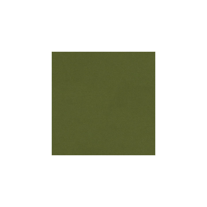 Versailles-E264040 by Kravet Design Designer Fabric - COTTON - 100% Netherlands HEAVY Horizontal: 0 and Vertical: 0 54 - Swanky Fabrics -