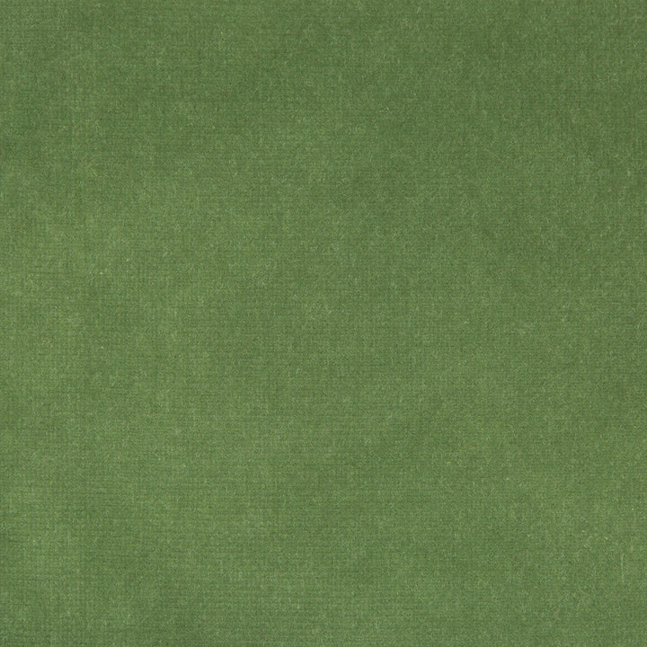Versailles-E264250 by Kravet Design Designer Fabric - COTTON - 100% Netherlands HEAVY Horizontal: 0 and Vertical: 0 54 - Swanky Fabrics -