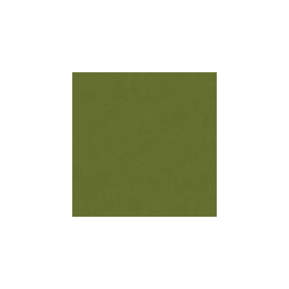 Versailles-E265000 by Kravet Design Designer Fabric - COTTON - 100% Netherlands HEAVY Horizontal: 0 and Vertical: 0 54 - Swanky Fabrics -