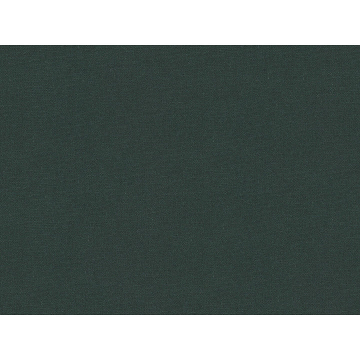 Versailles-E267160 by Kravet Design Designer Fabric - COTTON - 100% Netherlands HEAVY Horizontal: 0 and Vertical: 0 54 - Swanky Fabrics -