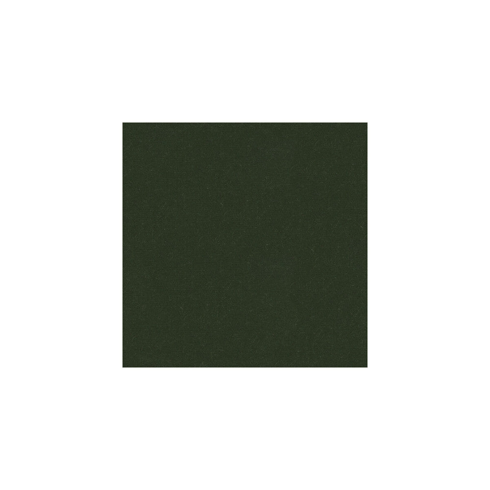 Versailles-E269140 by Kravet Design Designer Fabric COTTON - 100% Netherlands HEAVY Horizontal: 0 and Vertical: 0 54 - Swanky Fabrics -