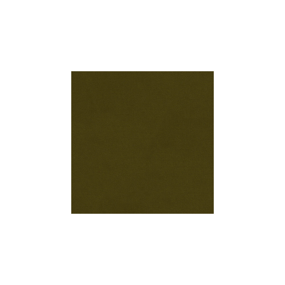 Versailles-E272000 by Kravet Design Designer Fabric - COTTON - 100% Netherlands HEAVY Horizontal: 0 and Vertical: 0 54 - Swanky Fabrics -