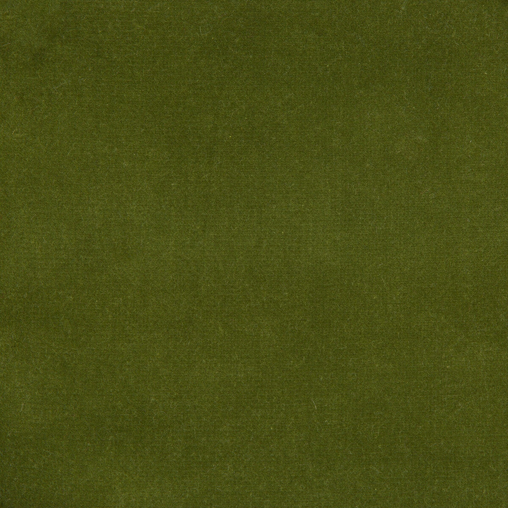 Versailles-E272240 by Kravet Design Designer Fabric - COTTON - 100% Netherlands HEAVY Horizontal: 0 and Vertical: 0 54 - Swanky Fabrics -