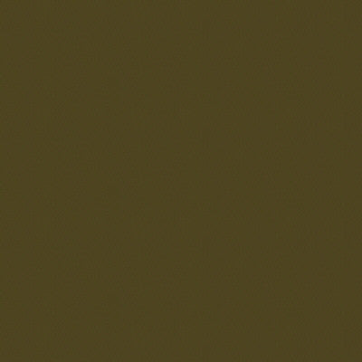 Versailles-E273120 by Kravet Design Designer Fabric - COTTON - 100% Netherlands HEAVY Horizontal: 0 and Vertical: 0 54 - Swanky Fabrics -