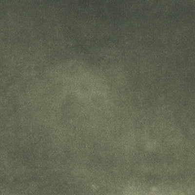 Versailles-E273250 by Kravet Design Designer Fabric - COTTON - 100% Netherlands HEAVY Horizontal: 0 and Vertical: 0 54 - Swanky Fabrics -