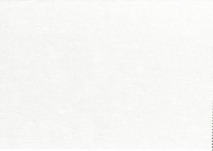 Viscaya Snow by Norbar Designer Fabric BLISS 100% INHERENTLY FLAME INDIA 54 - Swanky Fabrics -