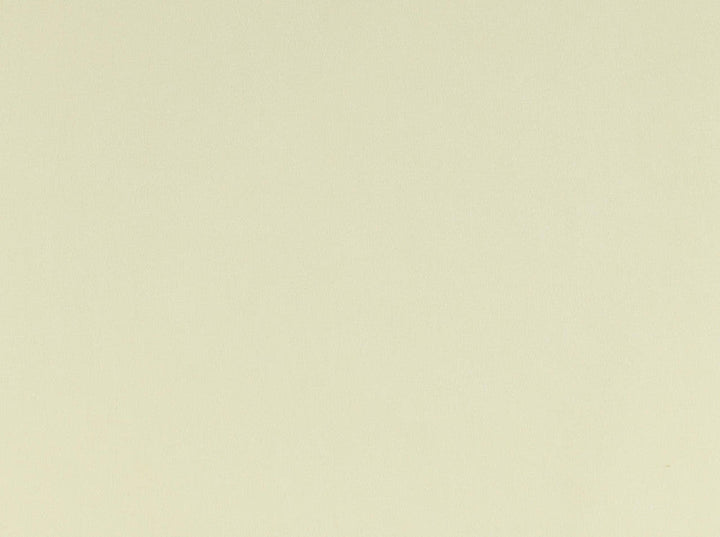 Vitani 120 Bone by Covington Designer Fabric Covington Right 24.5 36.75 0 0 by product