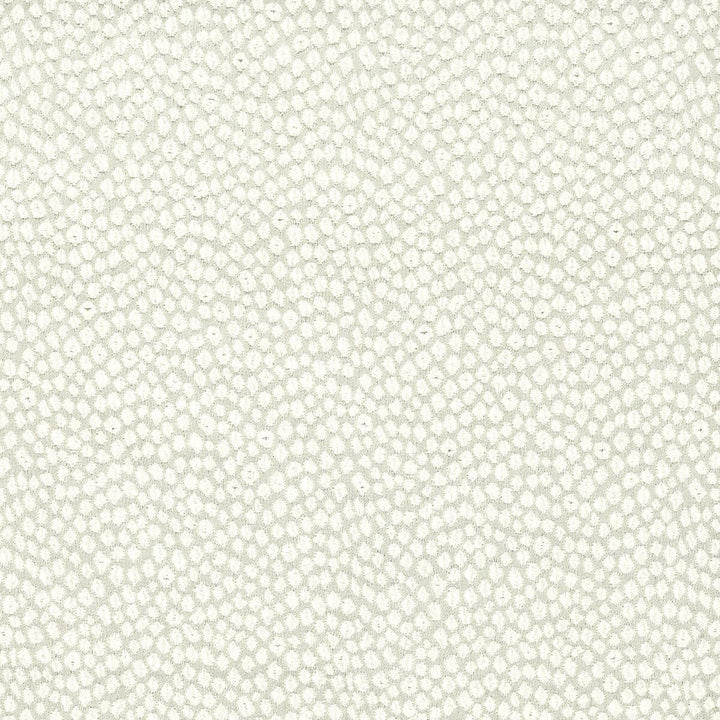 Voyager 3 Ash by Stout Designer Fabric COLOR MY WINDOW GREY/CINDER 100%POL INDIA </p><p>Repeat: 0 54 in - Swanky Fabrics -