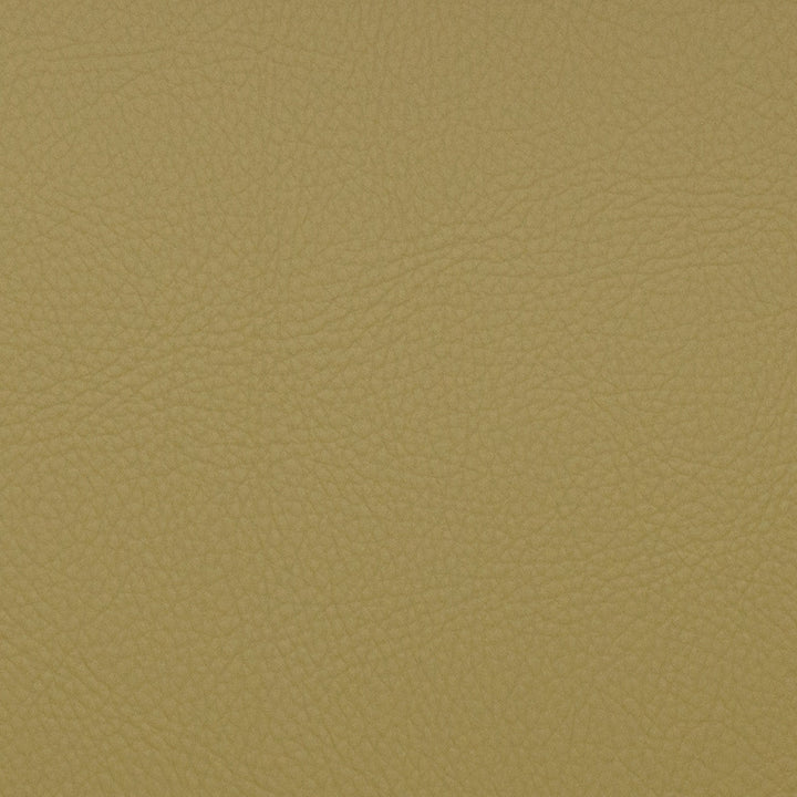 Voyager Aloe by Magnolia Designer Fabric - 100% Pvc China 100,000+ Horizontal: 0 and Vertical: 0 54" - Swanky Fabrics -