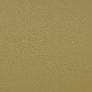 Magnolia Fabric Voyager Aloe