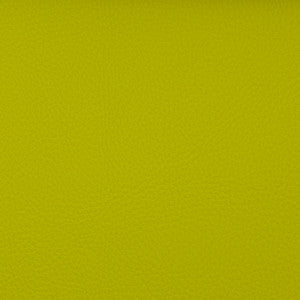 Magnolia Fabric Voyager Key Lime
