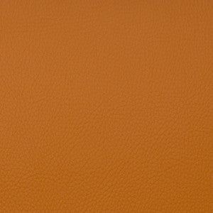 Magnolia Fabric Voyager Spice