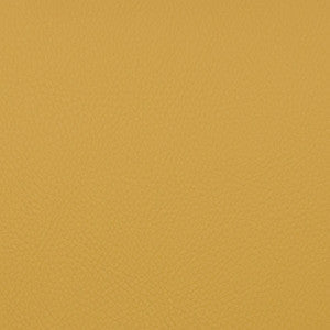 Magnolia Fabric Voyager Toffee