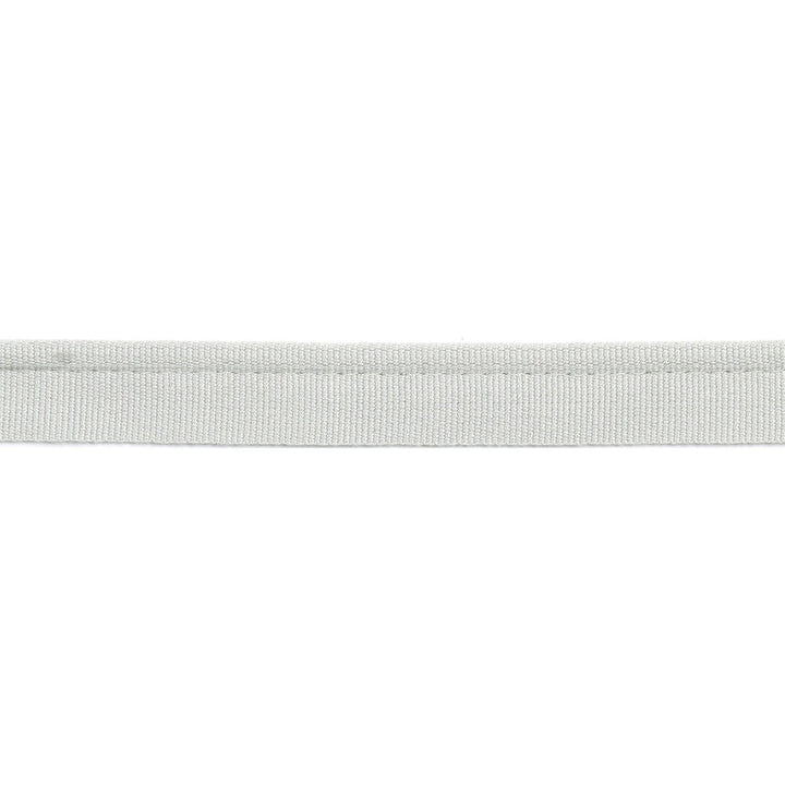 Versailles 1/4" Grosgrain Ribbon Lip Cord Platinum by Europatex Designer Fabric Versailles 64% Rayon, 34% Cotton, 2% Polyester 0.25 inches - Swanky Fabrics -