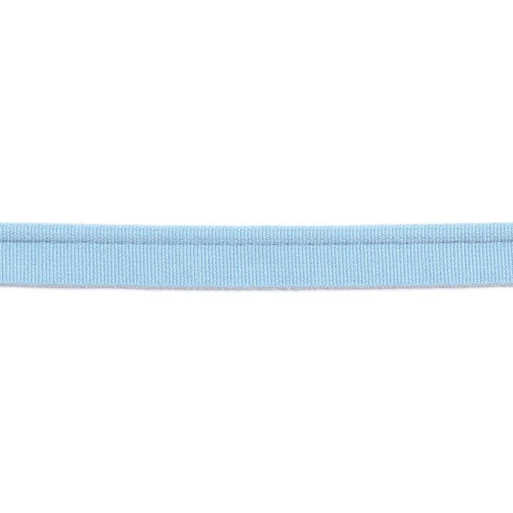 Versailles 1/4" Grosgrain Ribbon Lip Cord Sky by Europatex Designer Fabric Versailles 64% Rayon, 34% Cotton, 2% Polyester 0.25 inches - Swanky Fabrics -