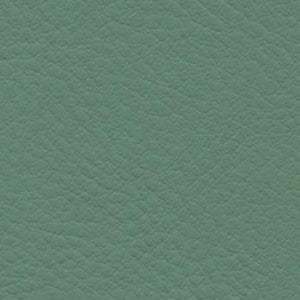 Nassimi Fabric Verve Basil