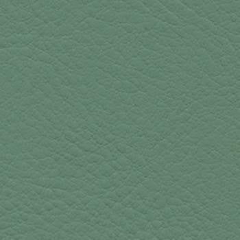 Verve Basil EVE-006 by Nassimi Designer Fabric See sample 100% Polyurethane USA or Imported Water-based cleaning agents and foam may be used for cleaning. Cleaning by a professional cleaning service is recommended. </p><p>Repeat: Horizontal: and Vertical: 54" - Swanky Fabrics -