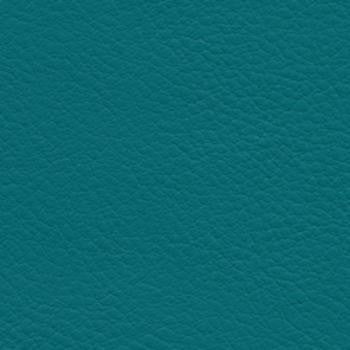 Verve Cove EVE-008 by Burch Designer Fabric our website for purchase 100% Polyurethane USA or Asia Water-based cleaning agents and foam may be used for cleaning. This fabric may also be cleaned with mild, water-free solvents. Cleaning by a professional cleaning service is recommended. Horizontal: - and Vertical: - 54" - Swanky Fabrics -