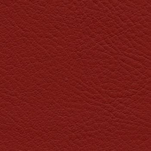 Nassimi Fabric Verve Cranberry