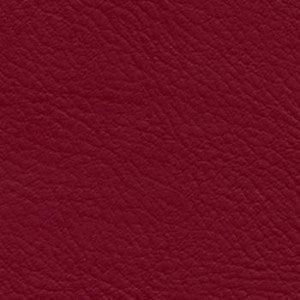 Nassimi Fabric Verve Currant