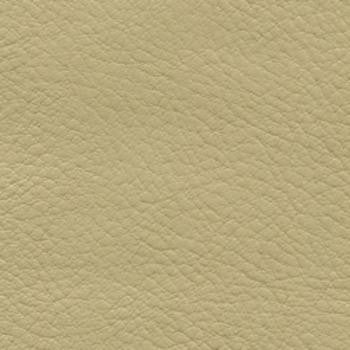 Verve Ecru EVE-012 by Nassimi Designer Fabric See sample 100% Polyurethane USA or Imported Water-based cleaning agents and foam may be used for cleaning. Cleaning by a professional cleaning service is recommended. </p><p>Repeat: Horizontal: and Vertical: 54" - Swanky Fabrics -