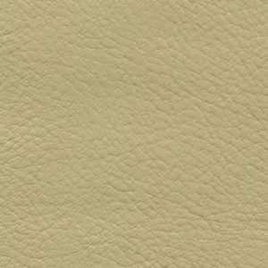 Nassimi Fabric Verve Ecru