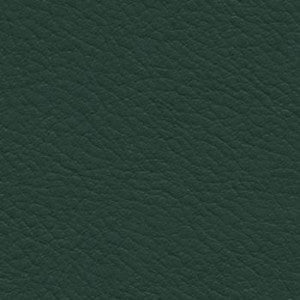 Nassimi Fabric Verve Evergreen