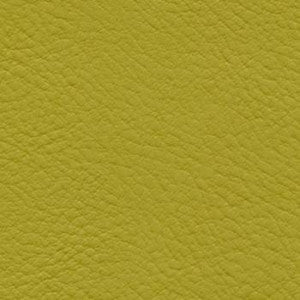 Nassimi Fabric Verve Guacamole