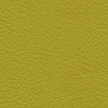 Verve Guacamole EVE-015 by Nassimi Designer Fabric See sample 100% Polyurethane USA or Imported Water-based cleaning agents and foam may be used for cleaning. Cleaning by a professional cleaning service is recommended. </p><p>Repeat: Horizontal: and Vertical: 54" - Swanky Fabrics -