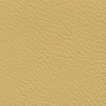 Verve Harvest by Nassimi Designer Fabric See sample 100% Polyurethane  250000 Horizontal: Not Applicable and Vertical: Not Applicable 54"  - Swanky Fabrics -