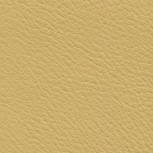 Nassimi Fabric Verve Harvest