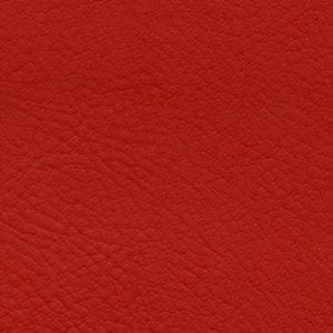 Nassimi Fabric Verve Hibiscus