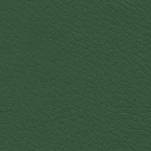 Nassimi Fabric Verve Kirby
