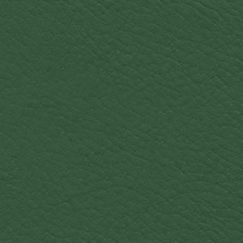 Verve Kirby EVE-018 by Nassimi Designer Fabric See sample 100% Polyurethane USA or Imported Water-based cleaning agents and foam may be used for cleaning. Cleaning by a professional cleaning service is recommended.  54  - Swanky Fabrics -