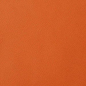 Nassimi Fabric Verve Kumquat