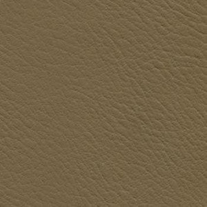 Nassimi Fabric Verve Mink