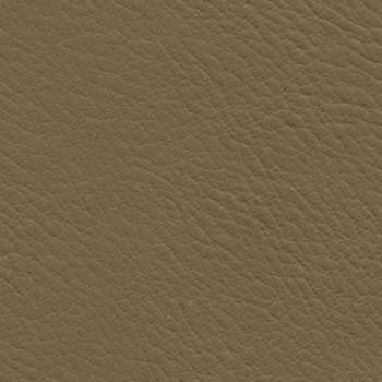Verve Mink EVE-020 by Nassimi Designer Fabric See sample 100% Polyurethane USA or Imported Water-based cleaning agents and foam may be used for cleaning. Cleaning by a professional cleaning service is recommended.  54  - Swanky Fabrics -