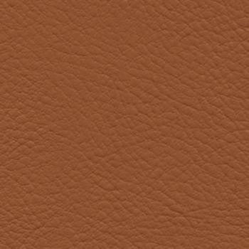 Verve Mustang EVE-021 by Nassimi Designer Fabric See sample 100% Polyurethane USA or Imported Water-based cleaning agents and foam may be used for cleaning. Cleaning by a professional cleaning service is recommended. </p><p>Repeat: Horizontal: and Vertical: 54" - Swanky Fabrics -