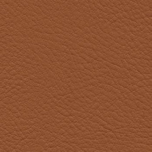 Nassimi Fabric Verve Mustang