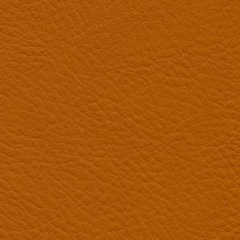 Verve Papaya EVE-025 by Nassimi Designer Fabric See sample 100% Polyurethane USA or Imported Water-based cleaning agents and foam may be used for cleaning. Cleaning by a professional cleaning service is recommended. </p><p>Repeat: Horizontal: and Vertical: 54" - Swanky Fabrics -