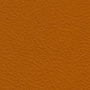 Nassimi Fabric Verve Papaya