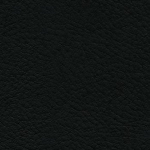 Nassimi Fabric Verve Raven