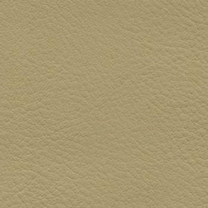 Nassimi Fabric Verve Straw