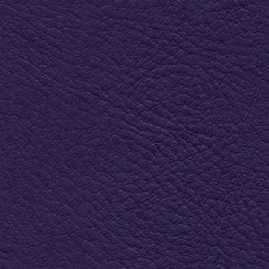 Nassimi Fabric Verve Verbena